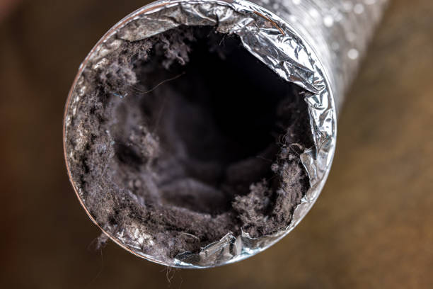 Professional Airduct Cleaning in FL